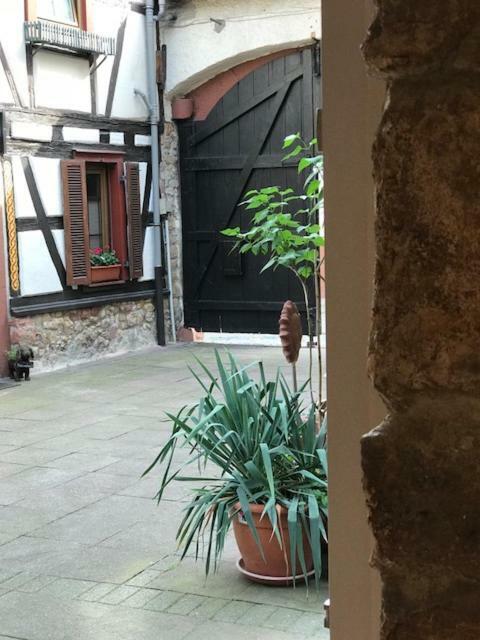 Buedinger Hof Apartment Weinheim Exterior photo